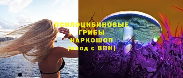 стафф Кинешма