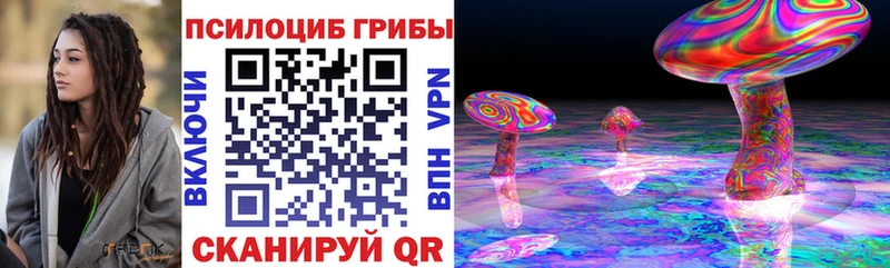 Купить  Опочка  Псилоцибиновые грибы Psilocybine cubensis 